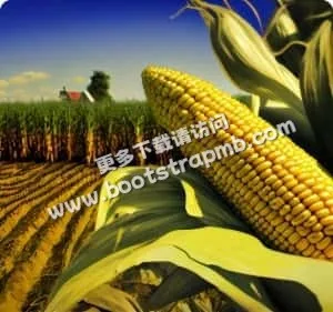 安全可靠的游戏环境 - C7娱乐